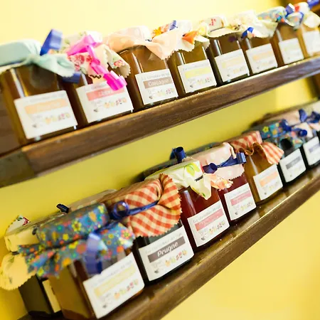 Il Tiglio (adults Only) Hotel Castel Di Sangro