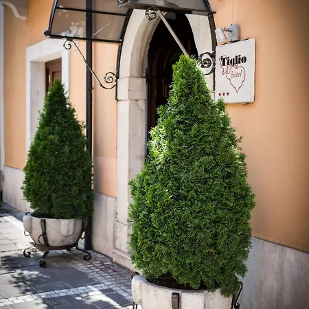 Il Tiglio (adults Only) Hotel 3*