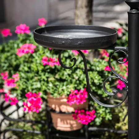 Szálloda Il Tiglio (adults Only)