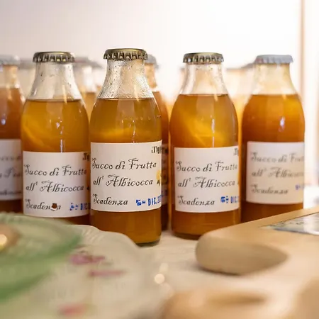 Hotel Il Tiglio (adults Only) Castel Di Sangro