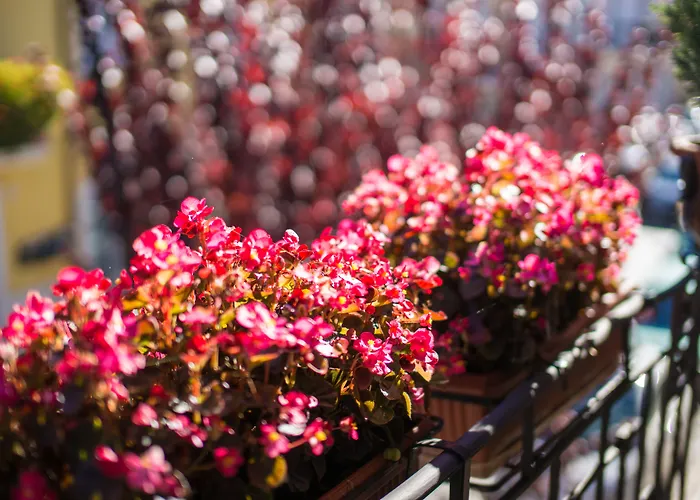 Hotel Il Tiglio (adults Only)