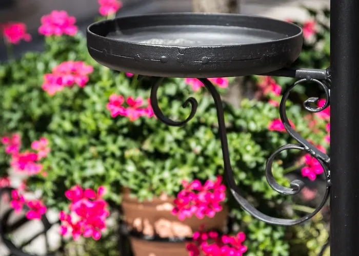 Hotel Il Tiglio (adults Only)